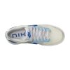 Nike Dunk Low Big Kids Style : Fb1843-141