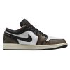 Jordan 1 Low Se Mens Style : Dq8422-001