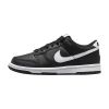 Nike Dunk Low Big Kids Style : Fd1232-001