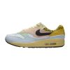 Nike Air Max 1 '87 Prm Womens Style : Fj4605-441