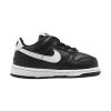 Nike Dunk Low Toddlers Style : Fd1233-001