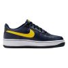 Nike Air Force 1 Big Kids Style : Dv7762-400