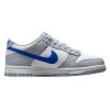 Nike Dunk Low Gs Big Kids Style : Fn3878