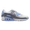 Nike Air Max 90 White Wolf Gray Photon Dust (Women's)