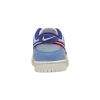 Nike Dunk Low (Gs) Big Kids Style : Hf5742